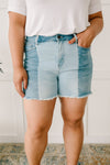 Two-Toned Shorts